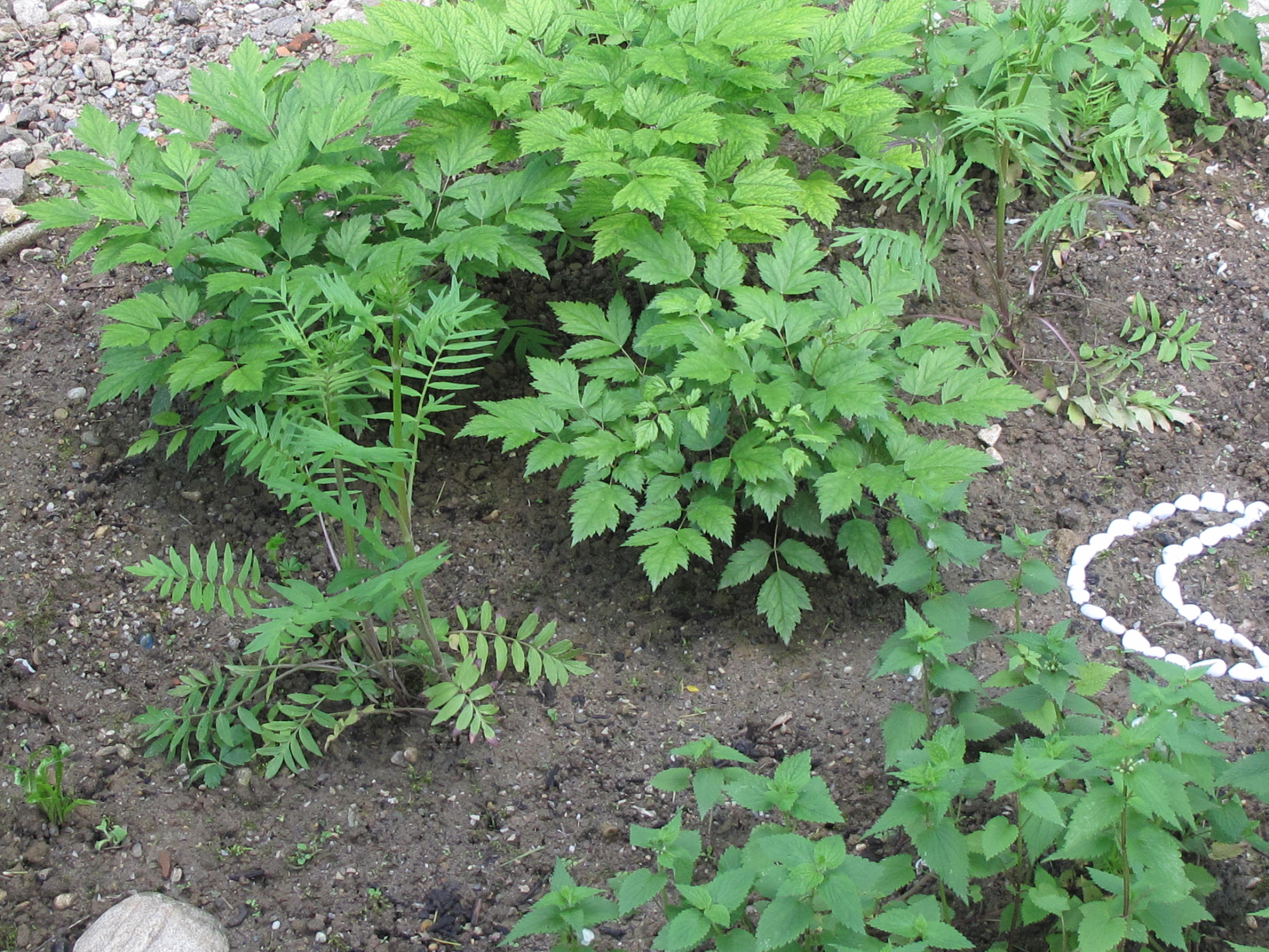 Webseite Fachausbildung2-1