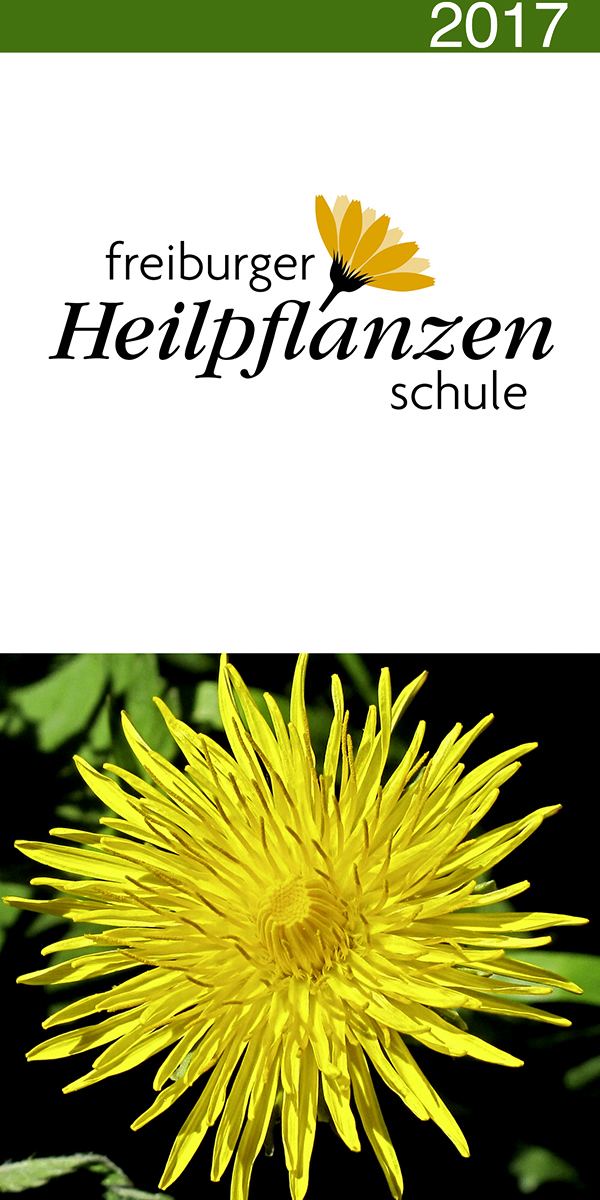 fhs_titelbild_2017_dunkelgruener