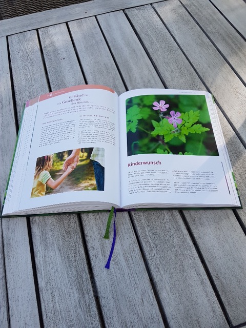 20190816_180136_resized