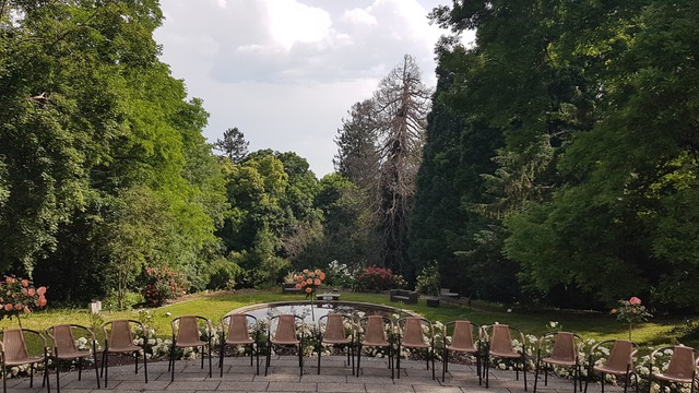 20210618_101706_resized