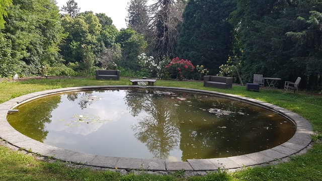 20210618_101858_resized