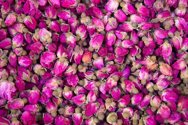 flower-gdb378b884_640