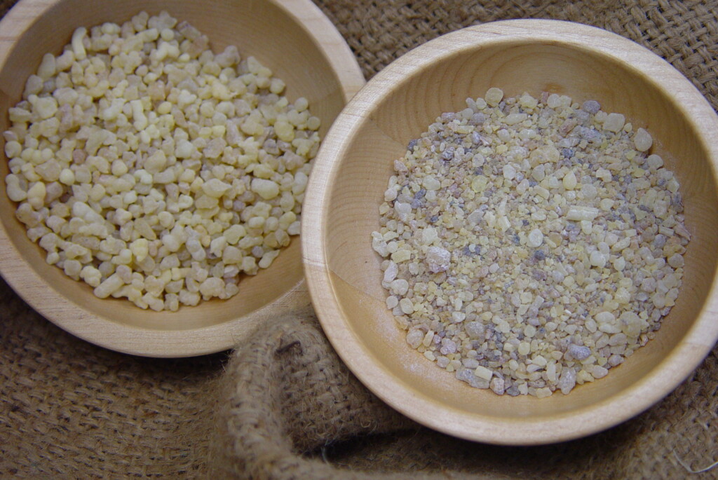 Weihrauchharzsorten(links afrikanischer Weihrauch, rechts indischer Weihrauch